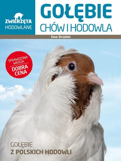 

Gołębie Chów i hodowla Ewa Strzelec
