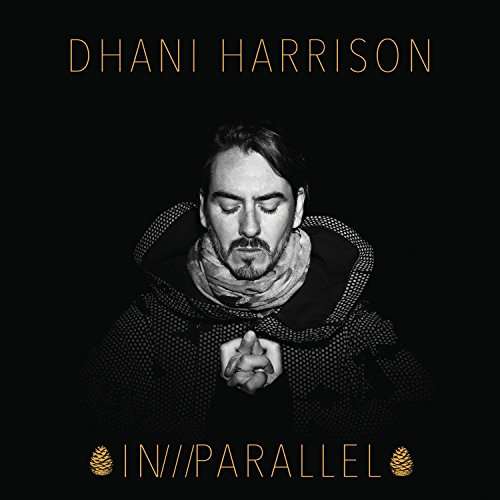 

Dhani Harrison In