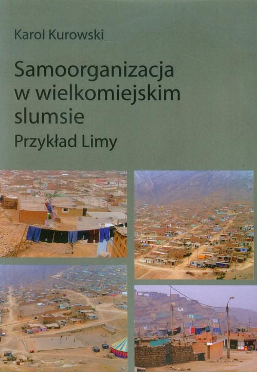 

Samoorganizacja w wielkomiejskim slumsie Przykład