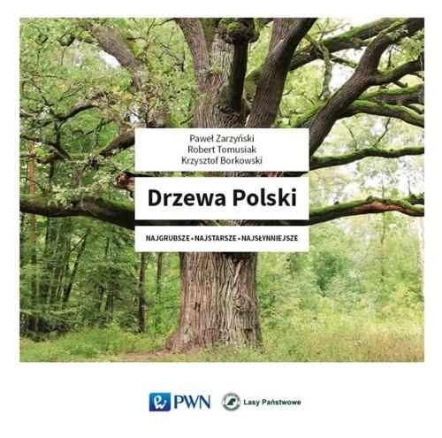 

Drzewa Polski. Najgrubsze Najstarsze Najsłynniejsz