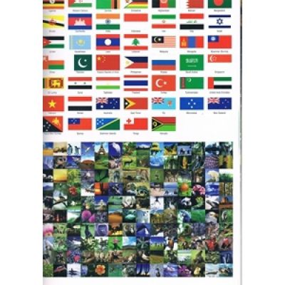 Atlas Naklejki Plansze Mapy Flagi Dinozaury 4w1 ISBN 9781741842449