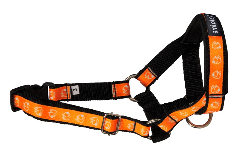 

Joy Halter Kantar Kaganiec Szkolenie NX6 (46-50cm)