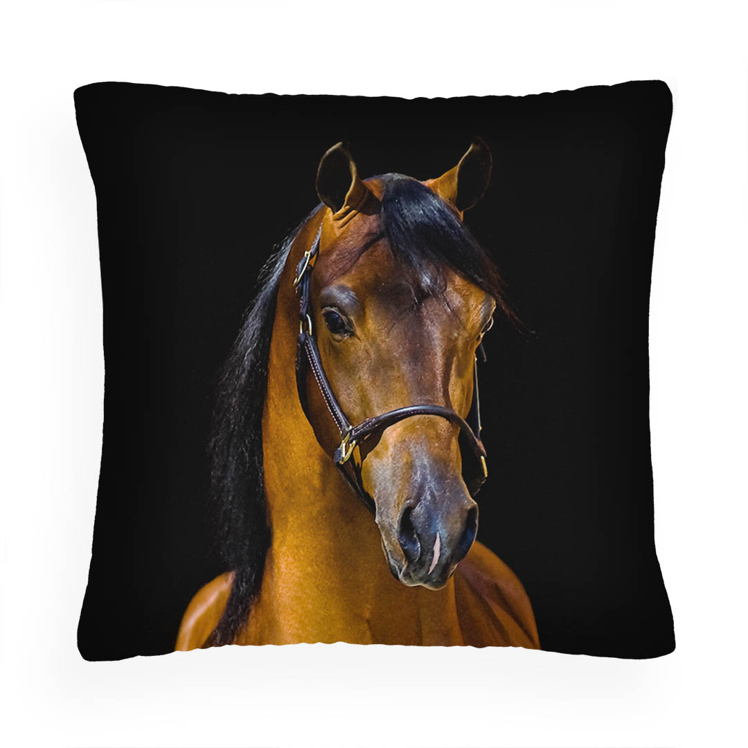 

Poduszka 40x40 Poszwa Wkład Kasztan Black Koń 20