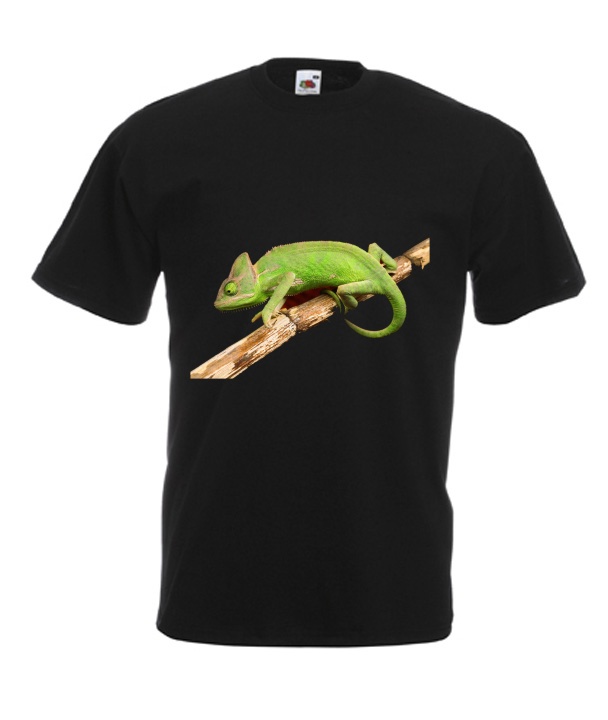 

Koszulki Kameleon Gekon Jaszczurka Agama