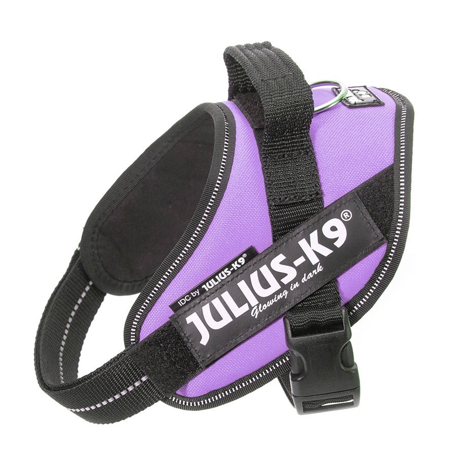 

Szelki Julius K9 IDC Mini Mini 40-53 cm Fioletowy