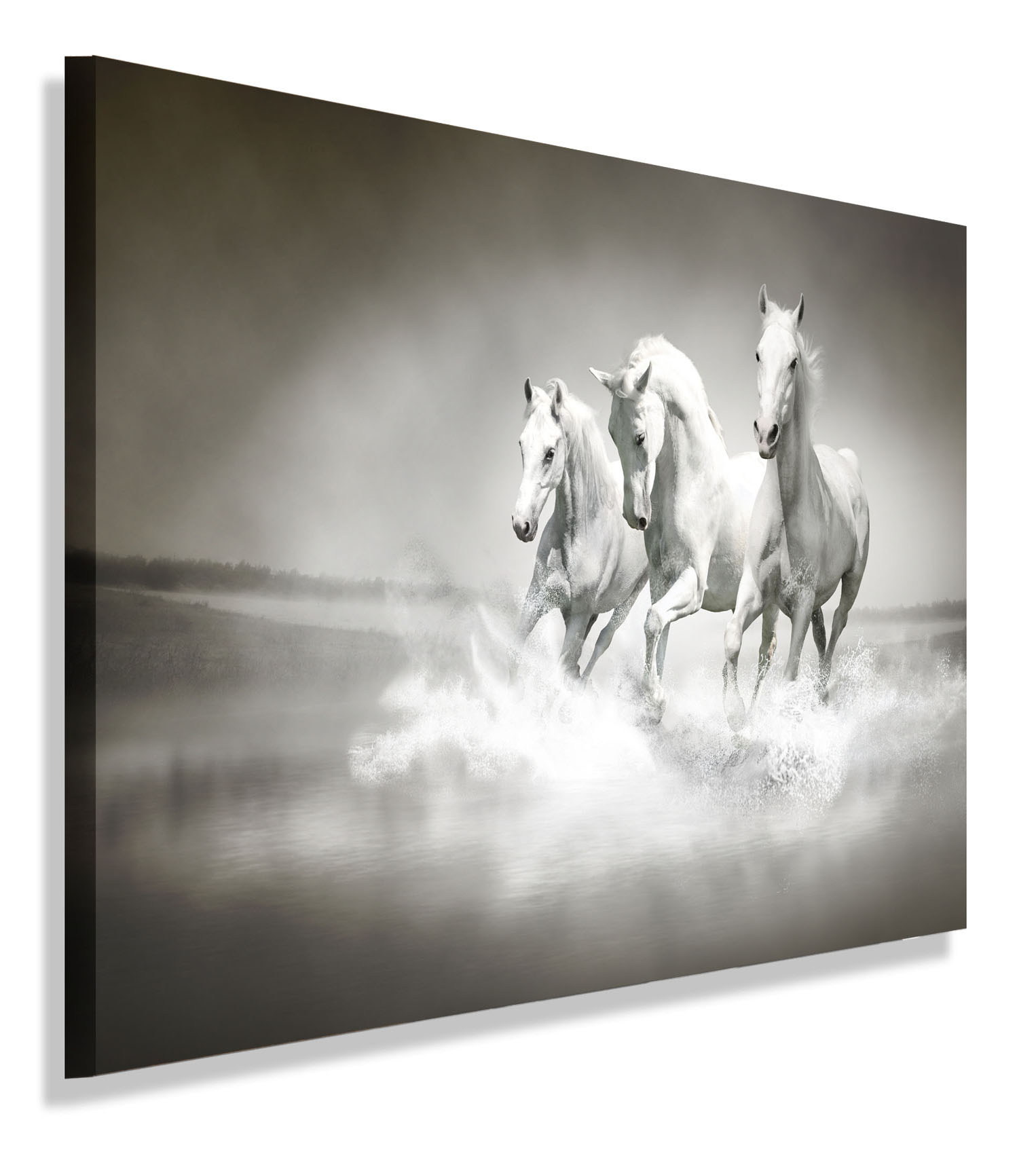 

Obraz Konie Rumaki Obrazy Canvas 30x30