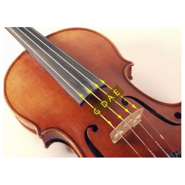 D'Addario Prelude J814 4/4 struna do skrzypiec G4 EAN (GTIN) 0019954262099