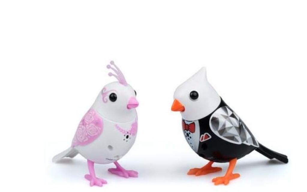 DUMEL ПЕВЧАЯ ПТИЧКА МОЛОДАЯ ПАРА