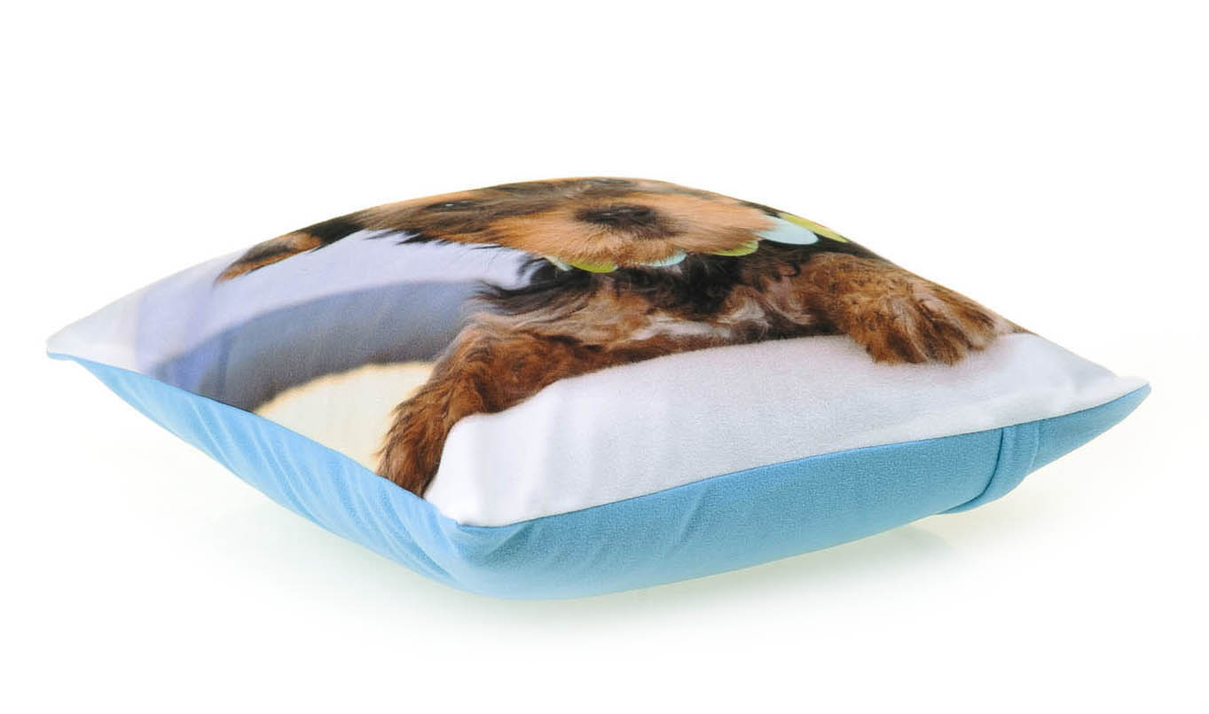 PODUSZKA PIES 21 RODZINNA SJESTA POSZWY PRODUCENT Kod producenta 21