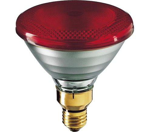 

Promiennik Lampa grzewcza 175 W Par czerwona kwoka