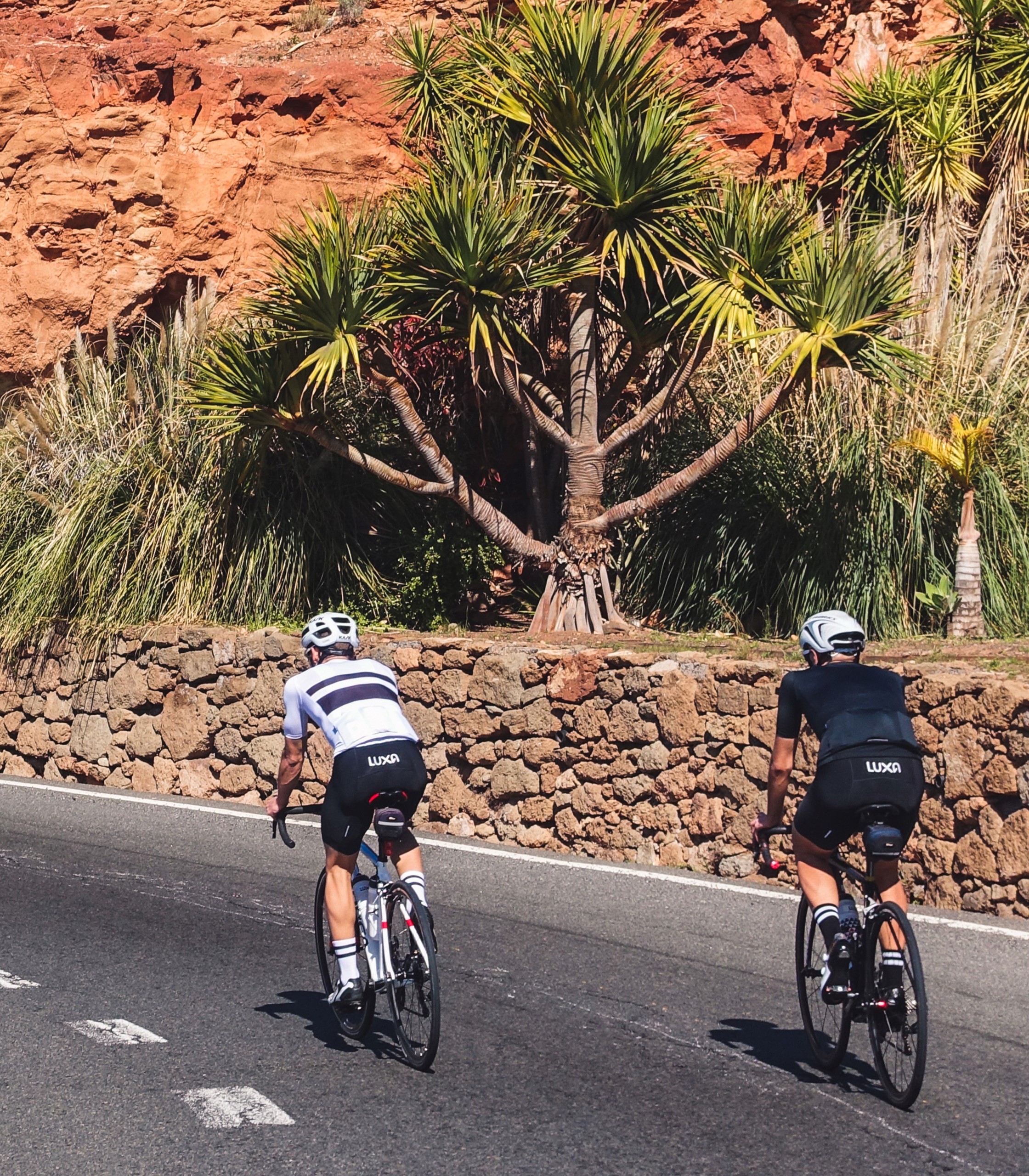 Skarpety kolarskie Luxa Black Night 45-47 Kod producenta LUAMSLBN4547