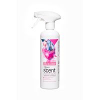 

Odświeżacz Clinex Scent Paryski Wdzięk 500ml