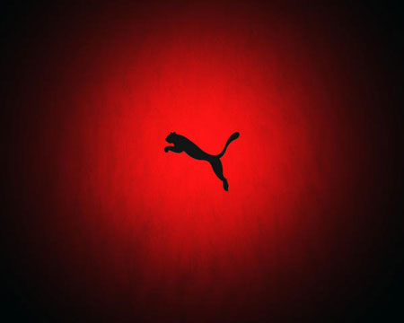 PUMA 387388 07 ALL-DAY ACTIVE R.26 Długość wkładki wew. 16 cm