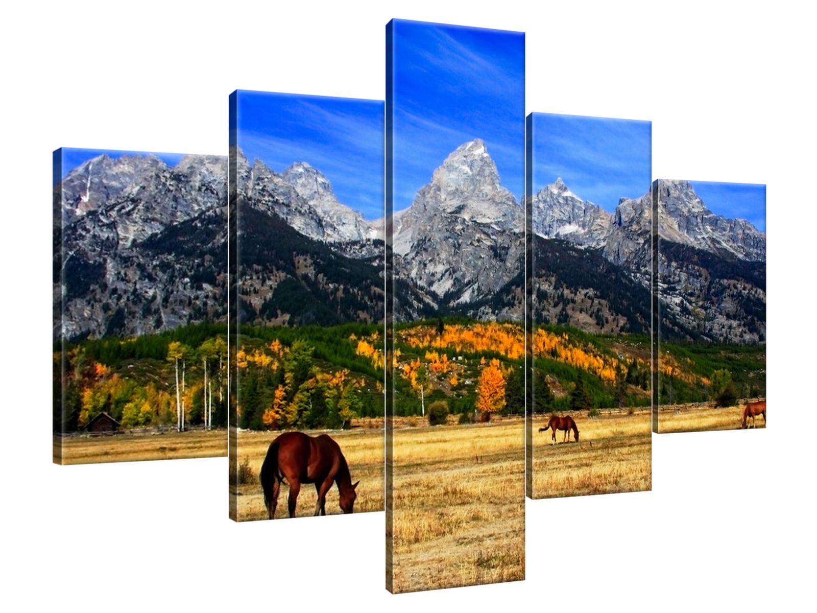 

Obraz Drukowany 100x70 Grand Teton - fortherock s