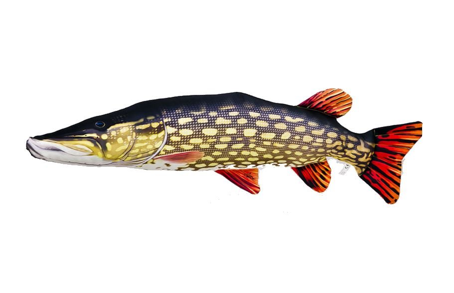 

Gaby pluszak ryba zabawka poduszka Szczupak 110cm