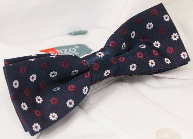 Elegancka mucha z poszetką Alties Marka inna