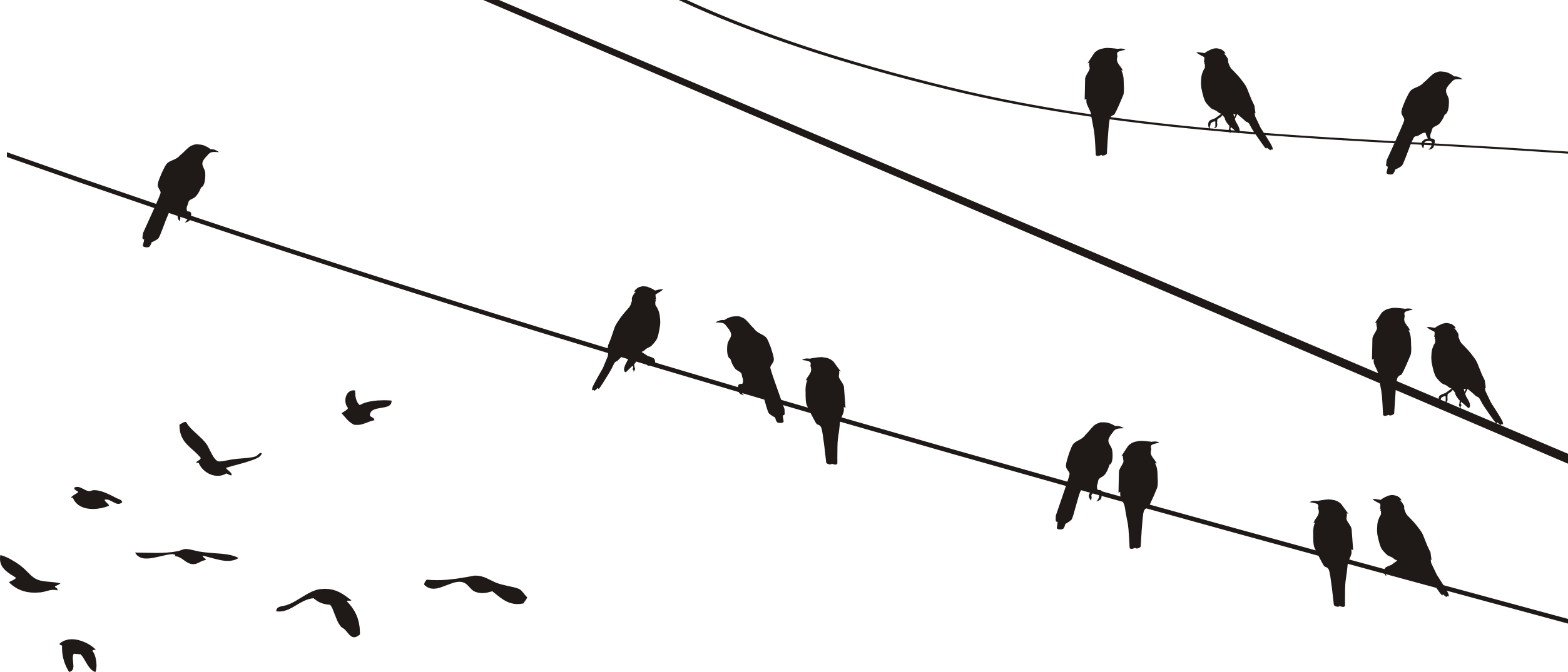 

Ptaki 2 bird 150x60cm Naklejka Ścienna lub Szablon