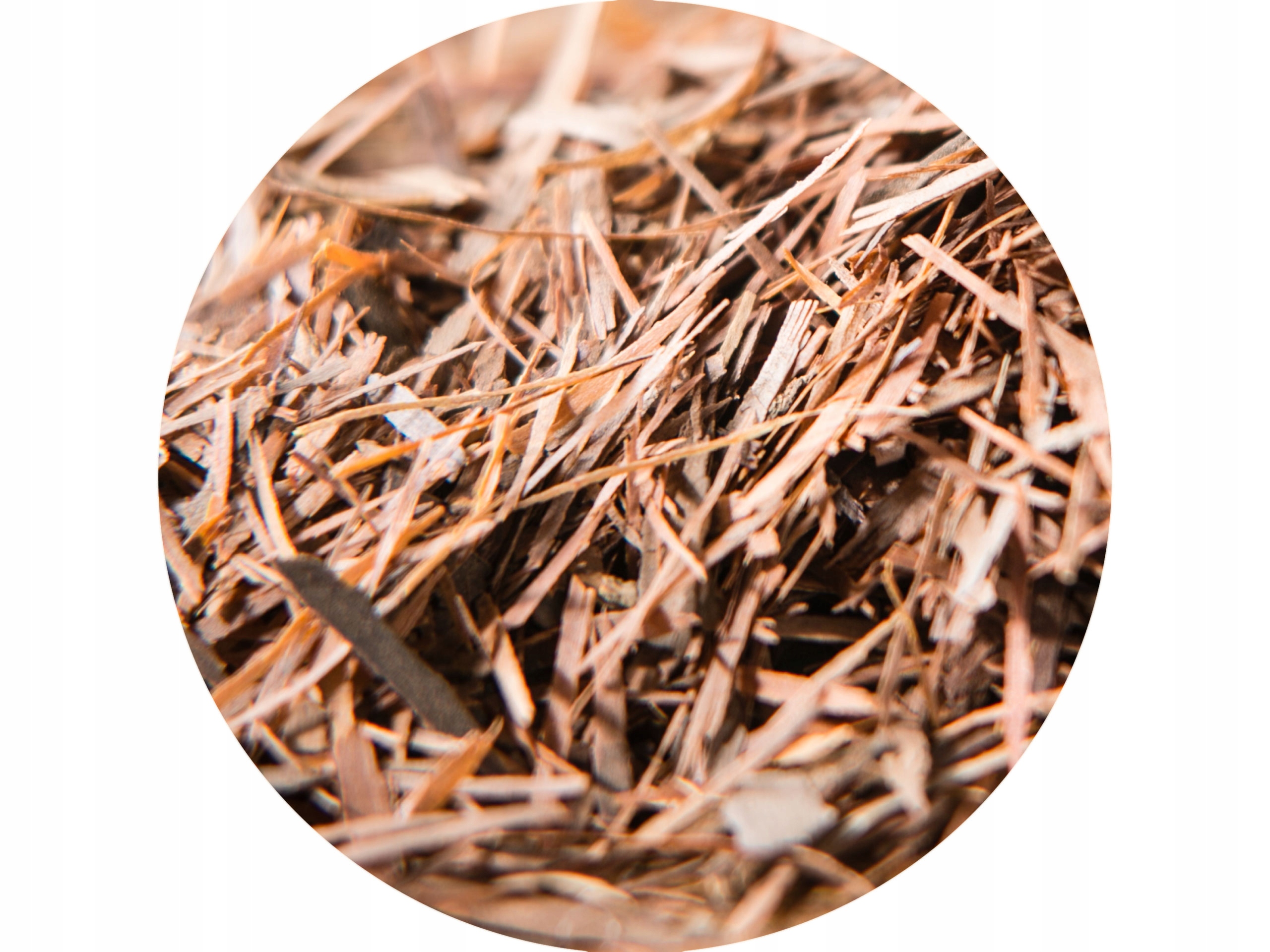 

Herbata, kora, Lapacho Premium 100g