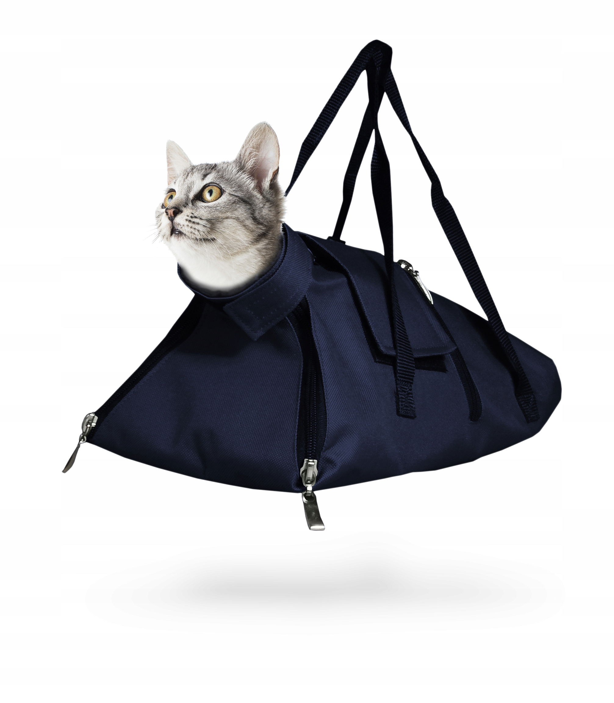 Torba iniekcyjna/USG dla kota Grande Finale do 5 kg