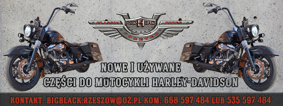29981-95 - HARLEY ELECTRA SOFTAIL DYNA РОТОР ГЕНЕРАТОР 99-06