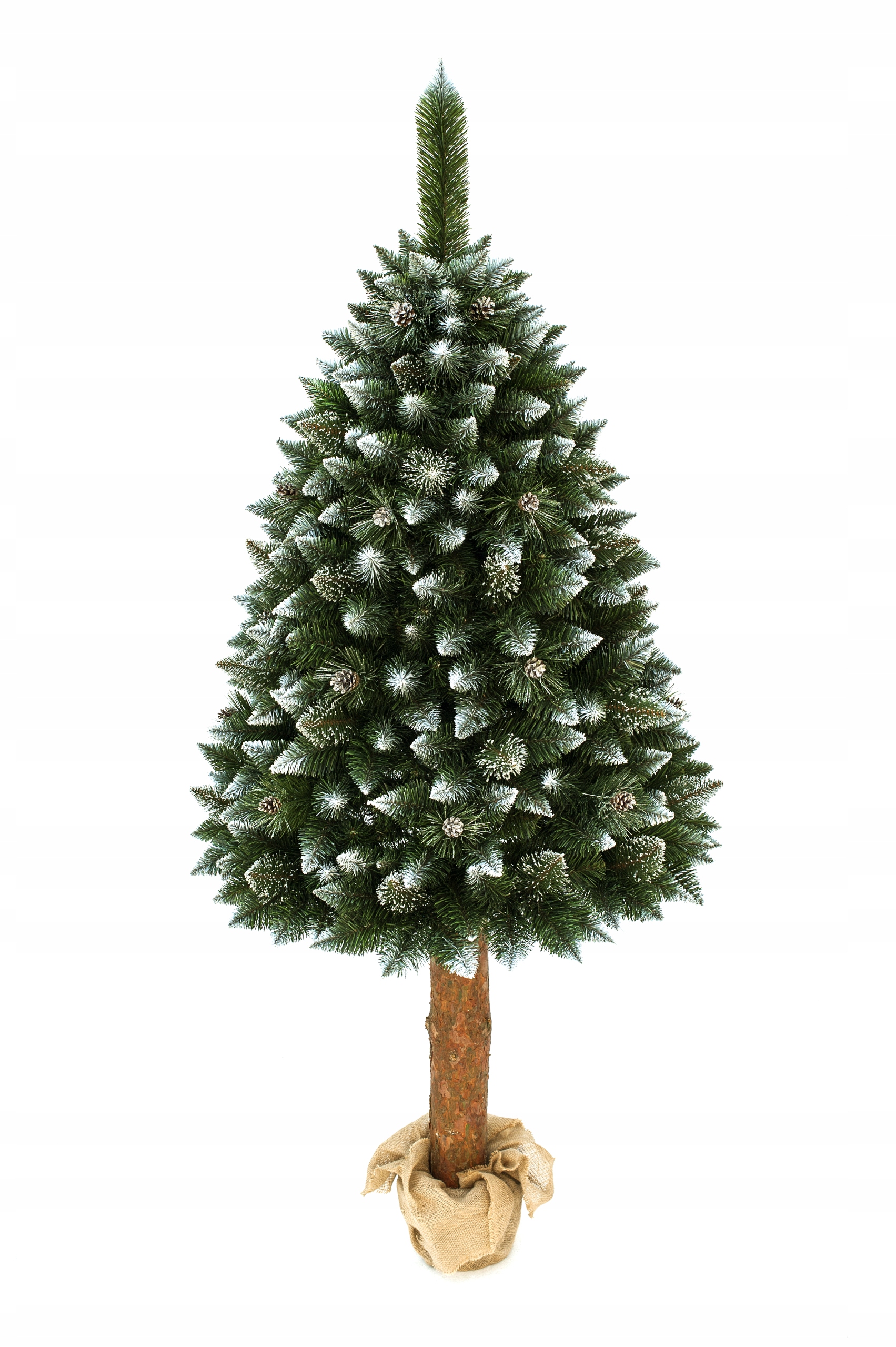 Ствол елки. Ель ствол ветки. Искусственная елка на пне. Елка искусственная на стволе. Стебель елки.