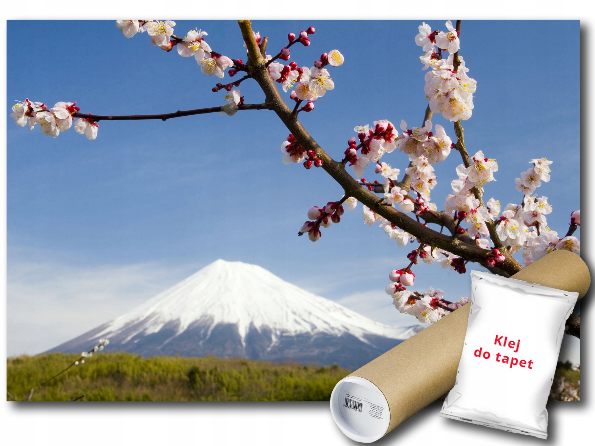 Fototapeta Japonsko Fuji 4A F3XL 416x254 F8-006