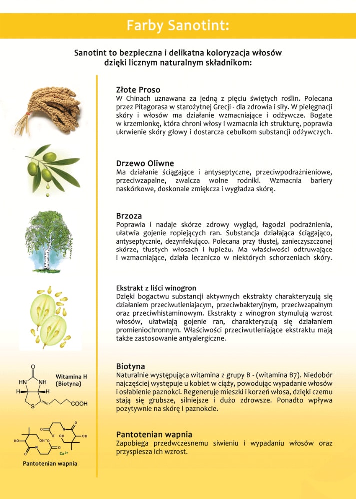 EMULSJA UTLENIAJĄCA Rozcieńcza Farbę SANOTINT Marka Sanotint