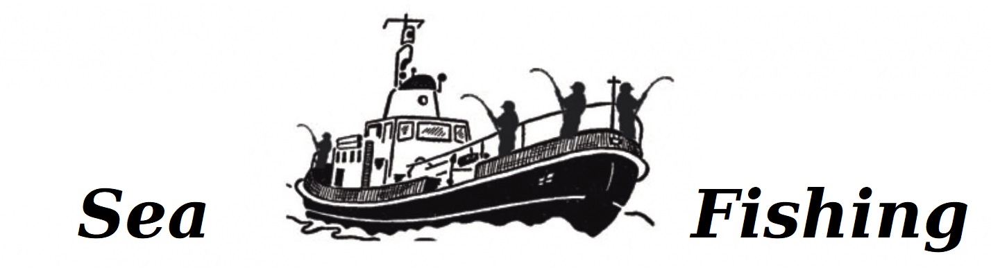 SMOCZA ŁZA NA DORSZE BEZ PILKERA CIĘŻAREK 100 gr Model ŁEZKA