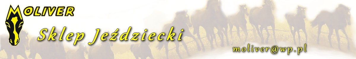 Strzemiona Asymetric Start stal nierdzewna EAN (GTIN) 5901193908423