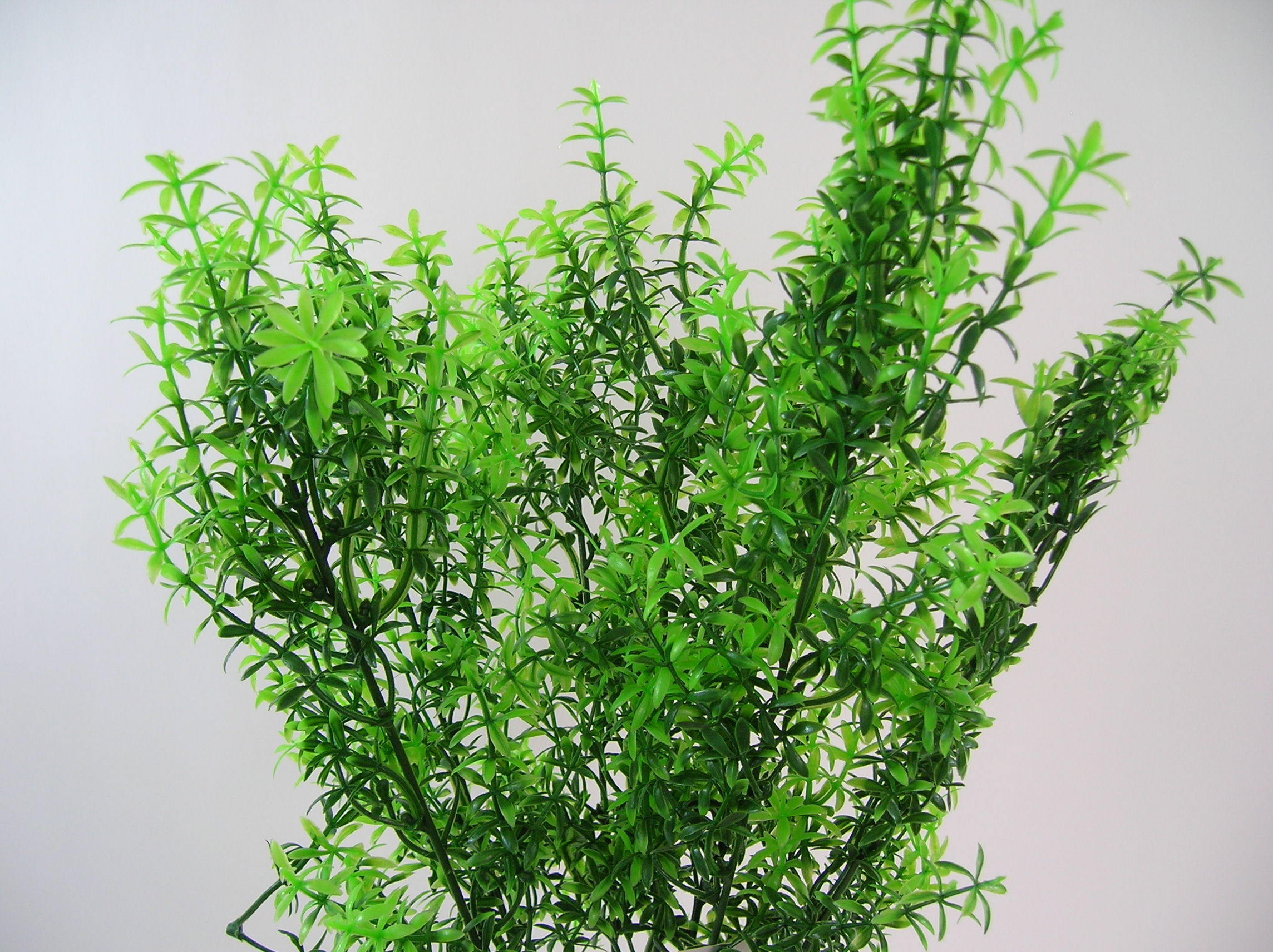 SZTUCZNE ROŚLINY GAŁĄZKA DEKORACYJNA MIRT Wysokość maksymalna 59 cm