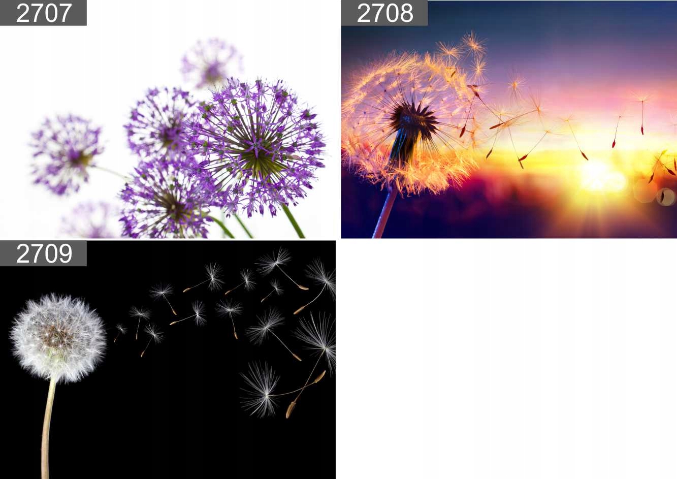 Plakat poster DMUCHAWCE 40x30 max wybór Szerokość produktu 40 cm