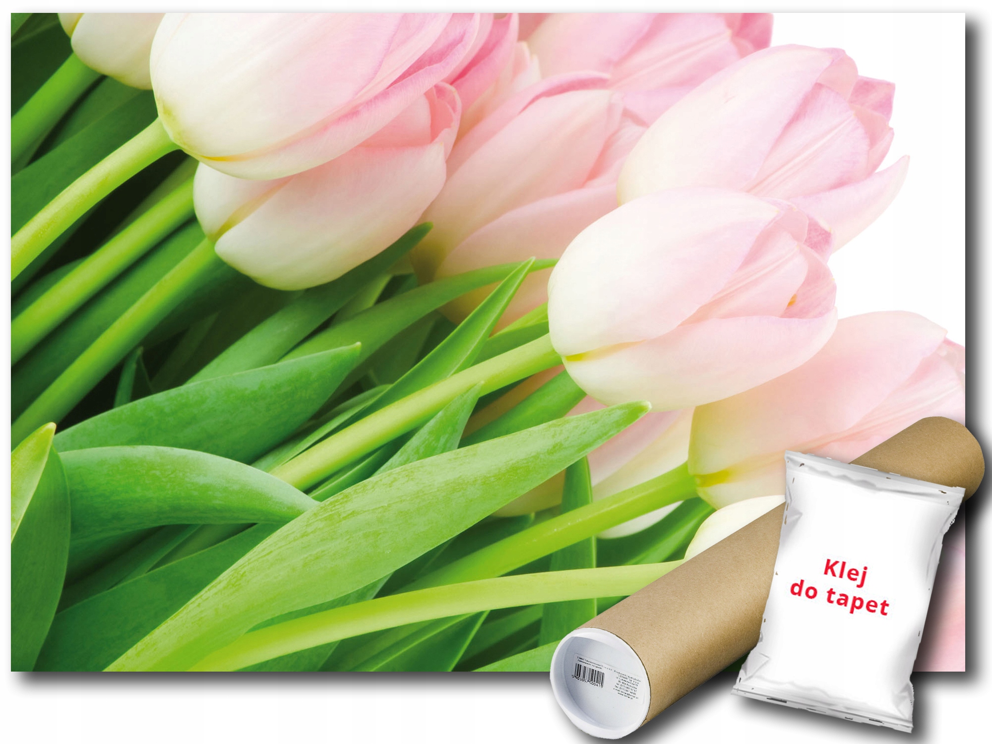Fototapeta Růžové Tulipány 9C Fxl 208x146 F8-018