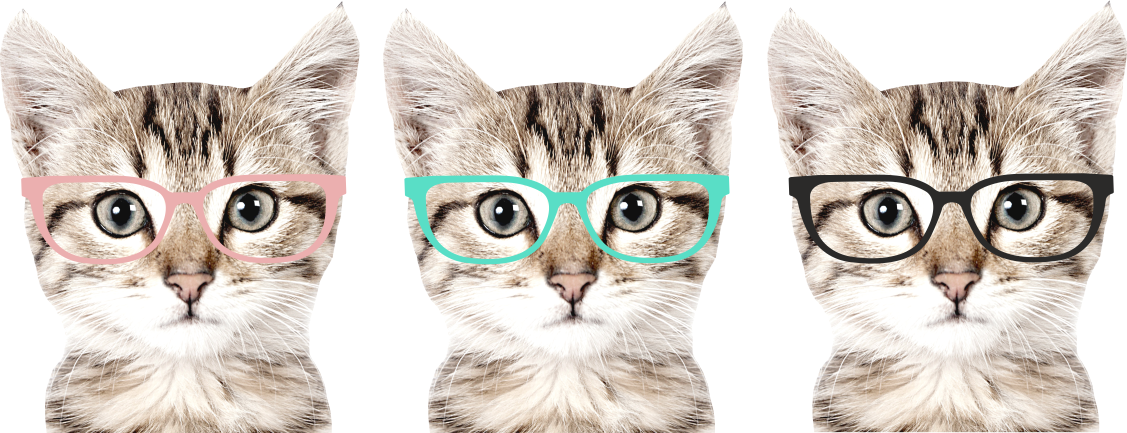 KOT W OKULARACH NAKLEJKA NA ŚCIANĘ ROZM. M Bohater Inny