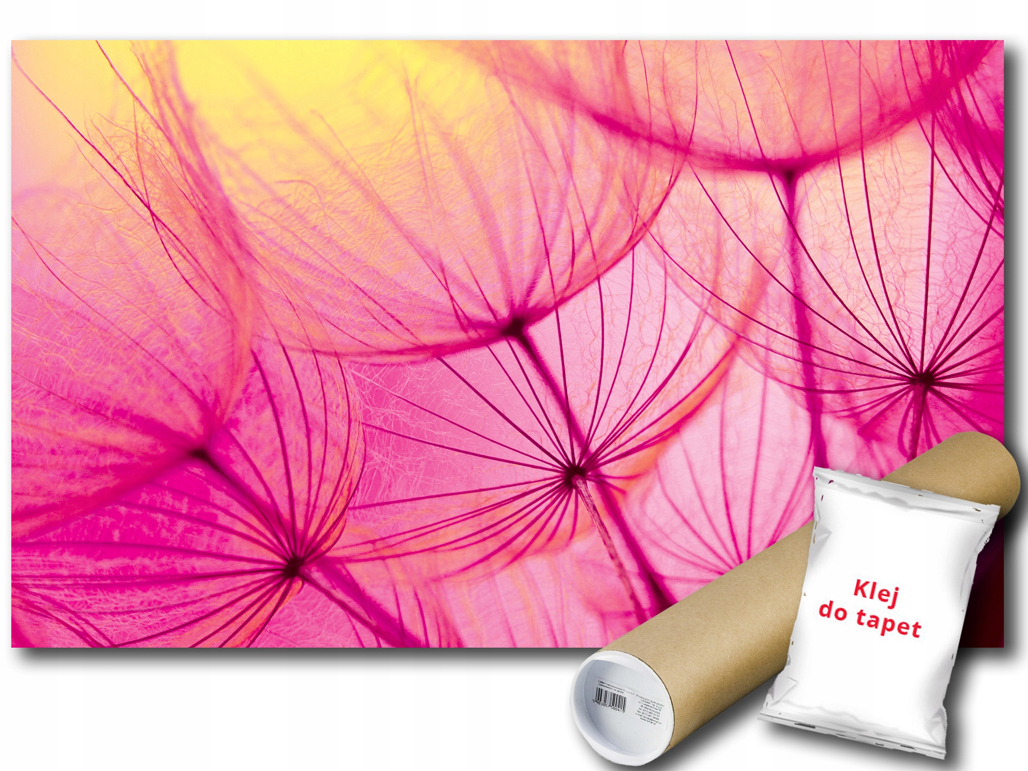 Fototapeta Pampelišky Rostliny 9A V8 368x254 F584