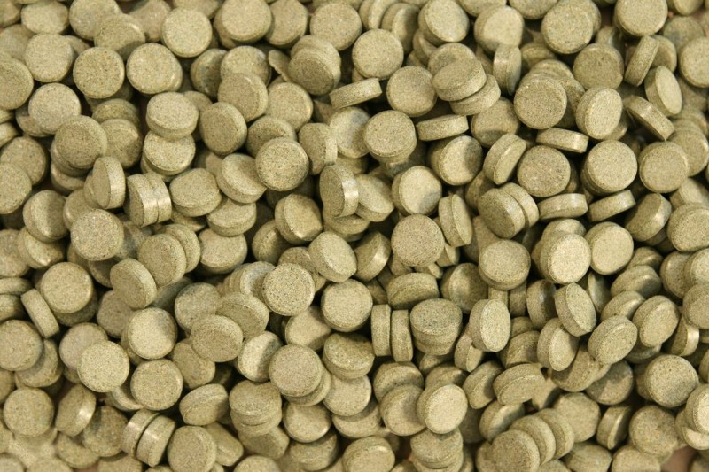 Levně Algentablet Tablety Se Spirulinou 20% Krmivo 1000 G