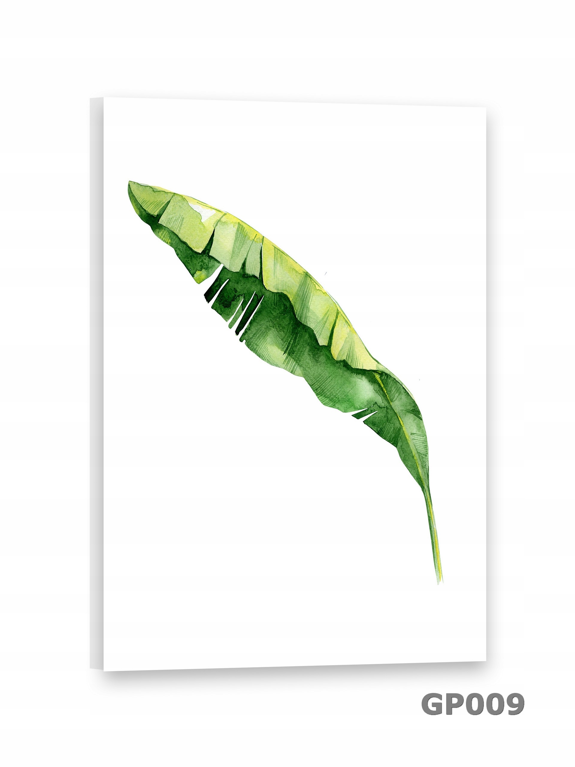 # LIŚĆ Obrazy na płótnie 50x75 Obraz PALMA Materiał wykonania płótno