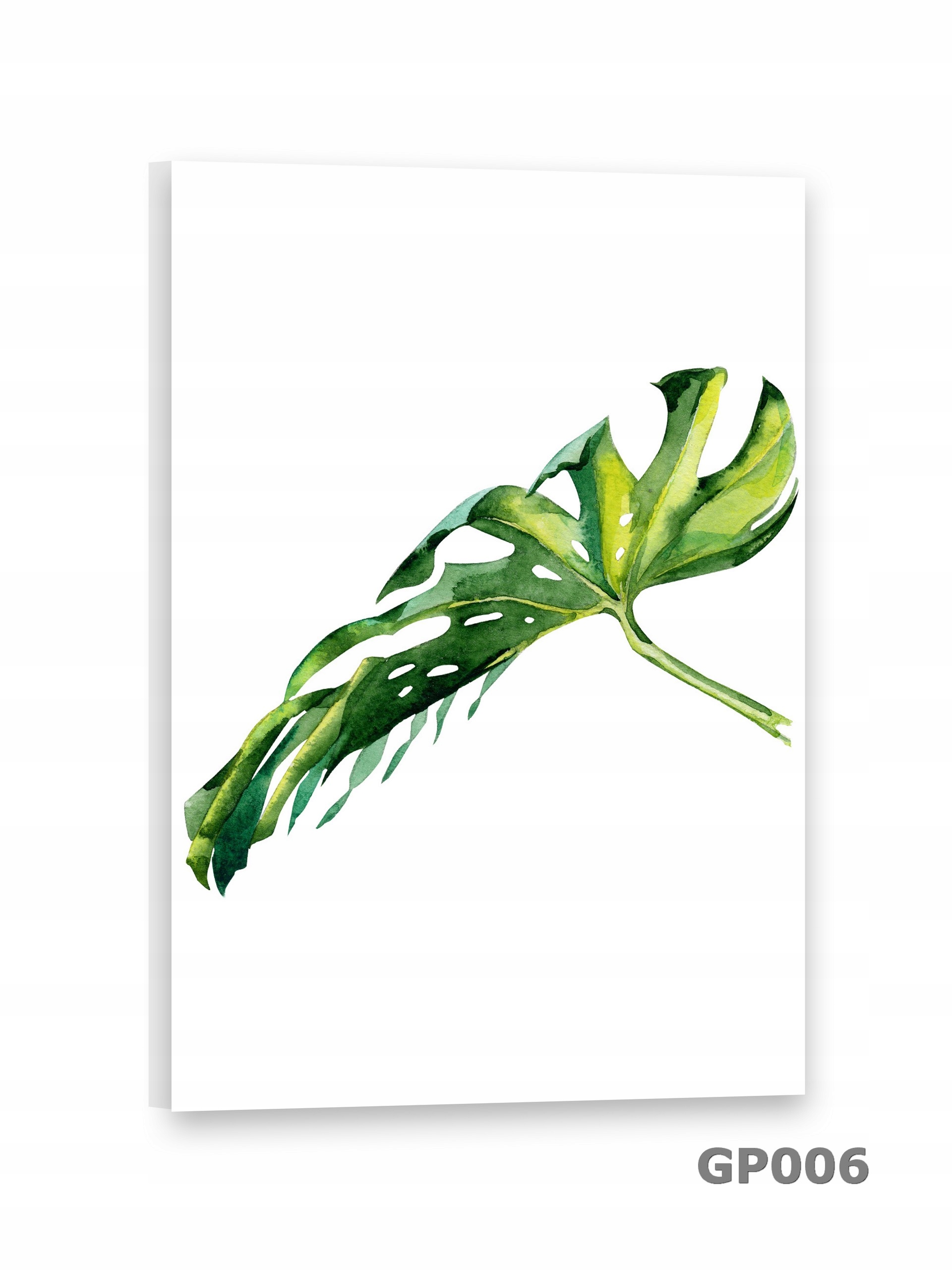 # LIŚĆ Obrazy na płótnie 50x75 Obraz PALMA Szerokość produktu 50 cm