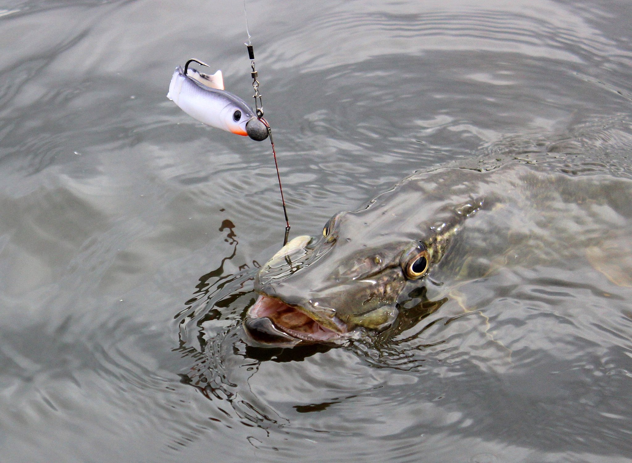 Savage Gear CANNIBAL *SUPER KILLER 15cm Pike Waga 33 g