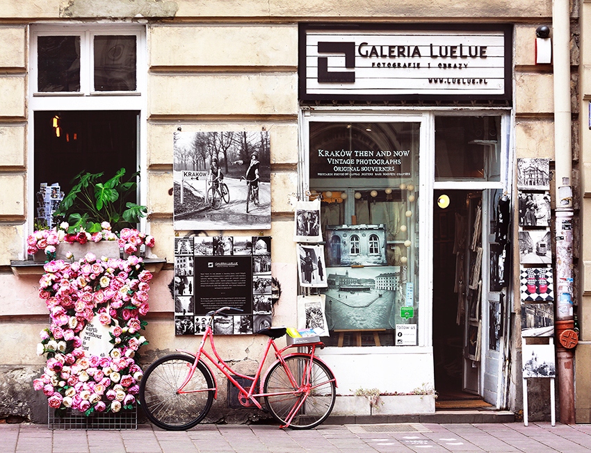 Plakat, rycina - Liść laurowy 40x30 kwiaty poster Marka inna