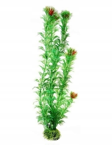 

Rogatek 10 CM Sztuczna Roślina Do Akwarium