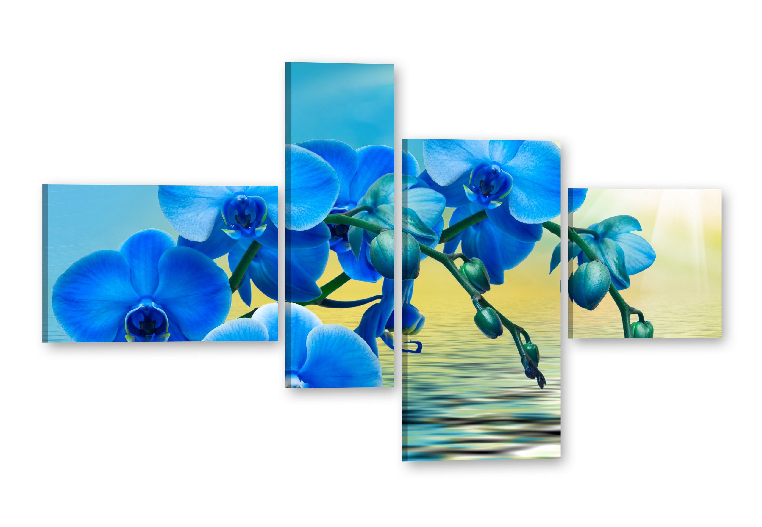 

# Orchidea Obrazy na płótnie 110x70 Obraz