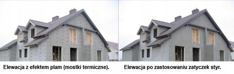 ZAŚLEPKA styropian Talerzyki ZATYCZKA GRAFIT -1000 Rodzaj zaślepki