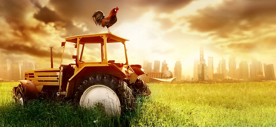 BabyOno ZESTAW SZCZOTEK DO BUTELEK 735 zielonym Marka Babyono