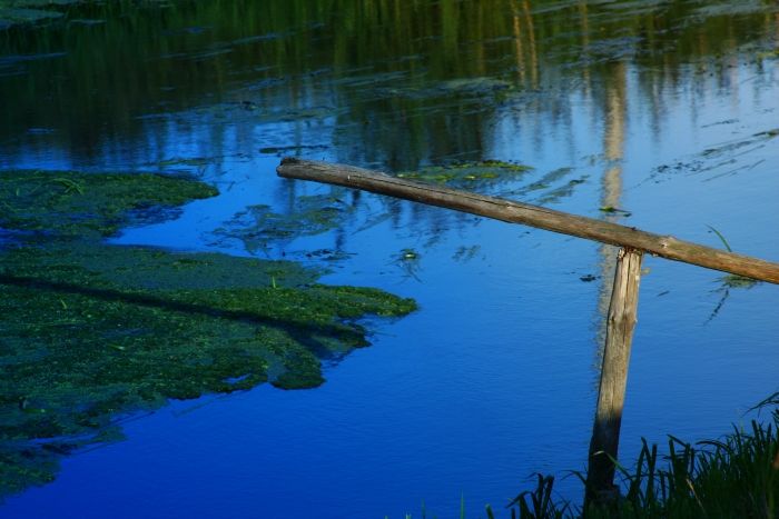 Filtr NIEBIESKI POŁÓWKOWY na 77mm 77 mm Model 952