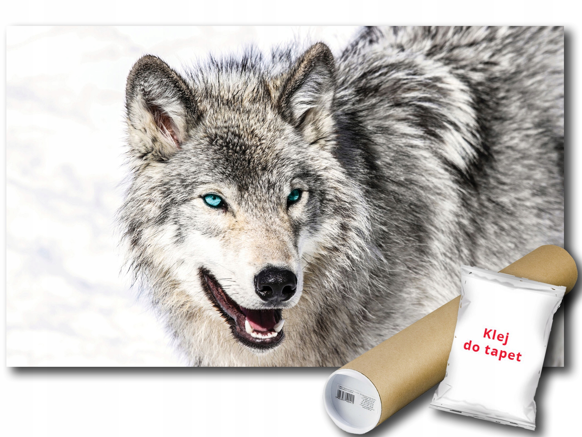 Fototapeta Snežný Vlk 12A V8 368x254 F2940