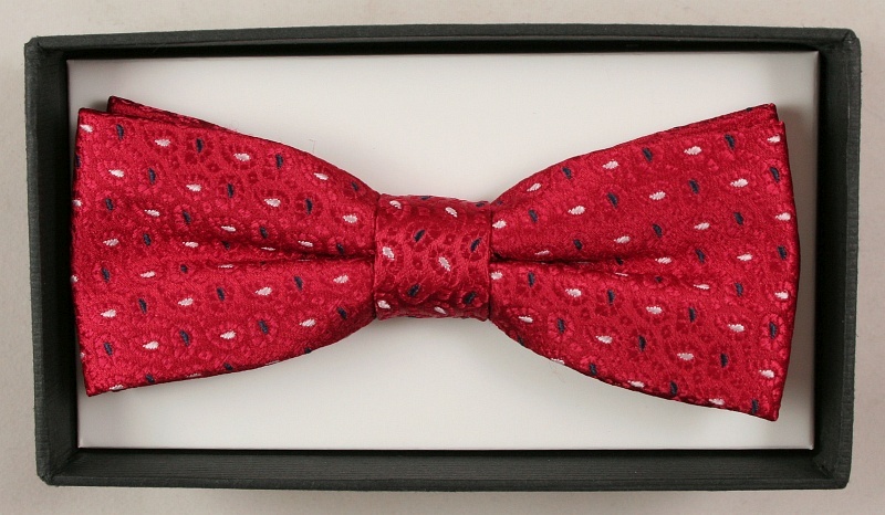 Modna mucha z poszetką - Alties Wzór dominujący inny wzór