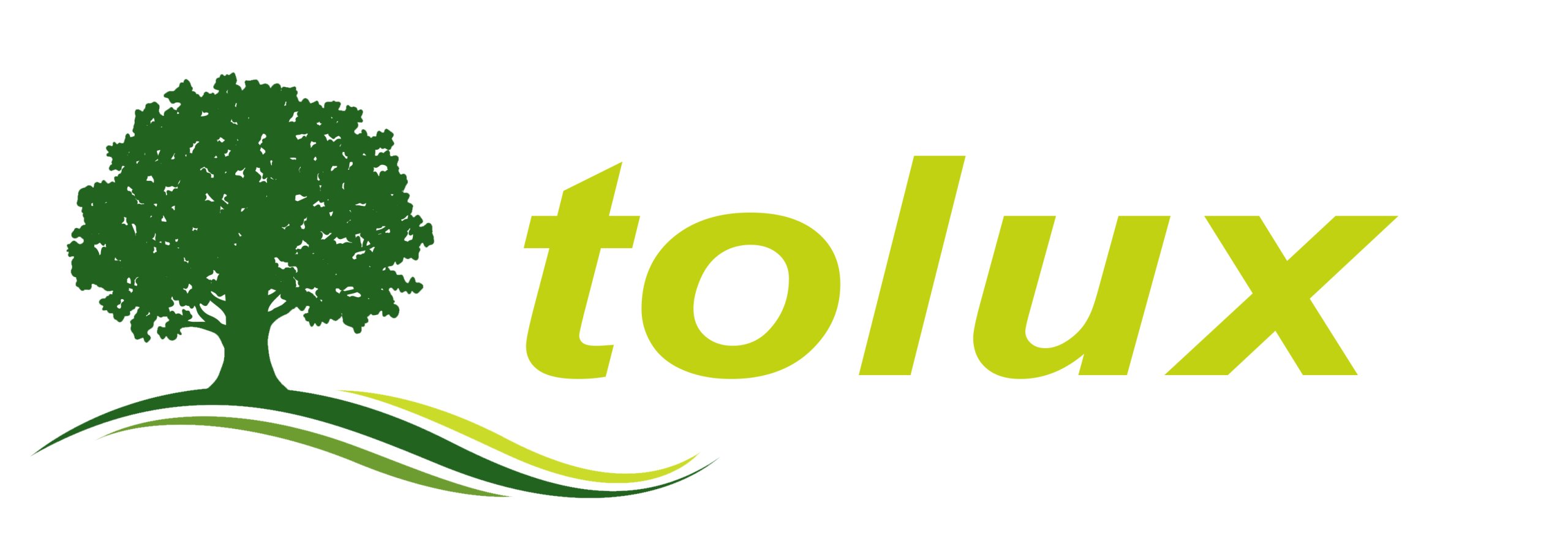 FLEKI ŚWIERKOWE FLEKI Z DESKI ŚWIERK fi 25 mm 100 sztuk Głębokość 9 mm