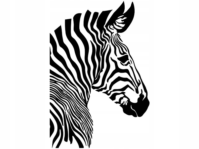 

Naklejka dekoracyjna na ścianę Zebra 147 cm