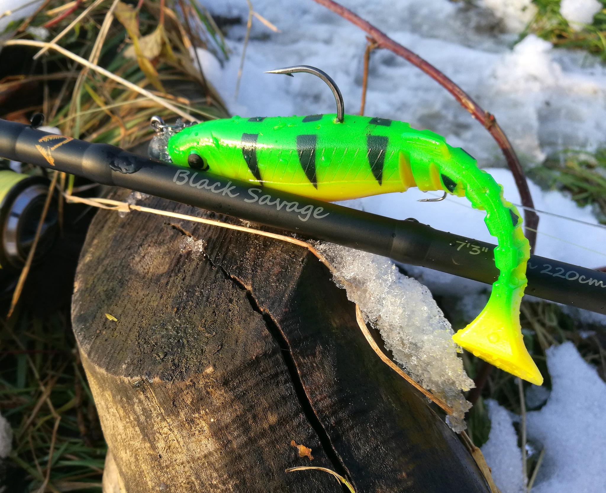 Savage Gear CANNIBAL * SUPER KILLER 15cm Firetiger Przeznaczenie okonie sandacze sumy szczupaki