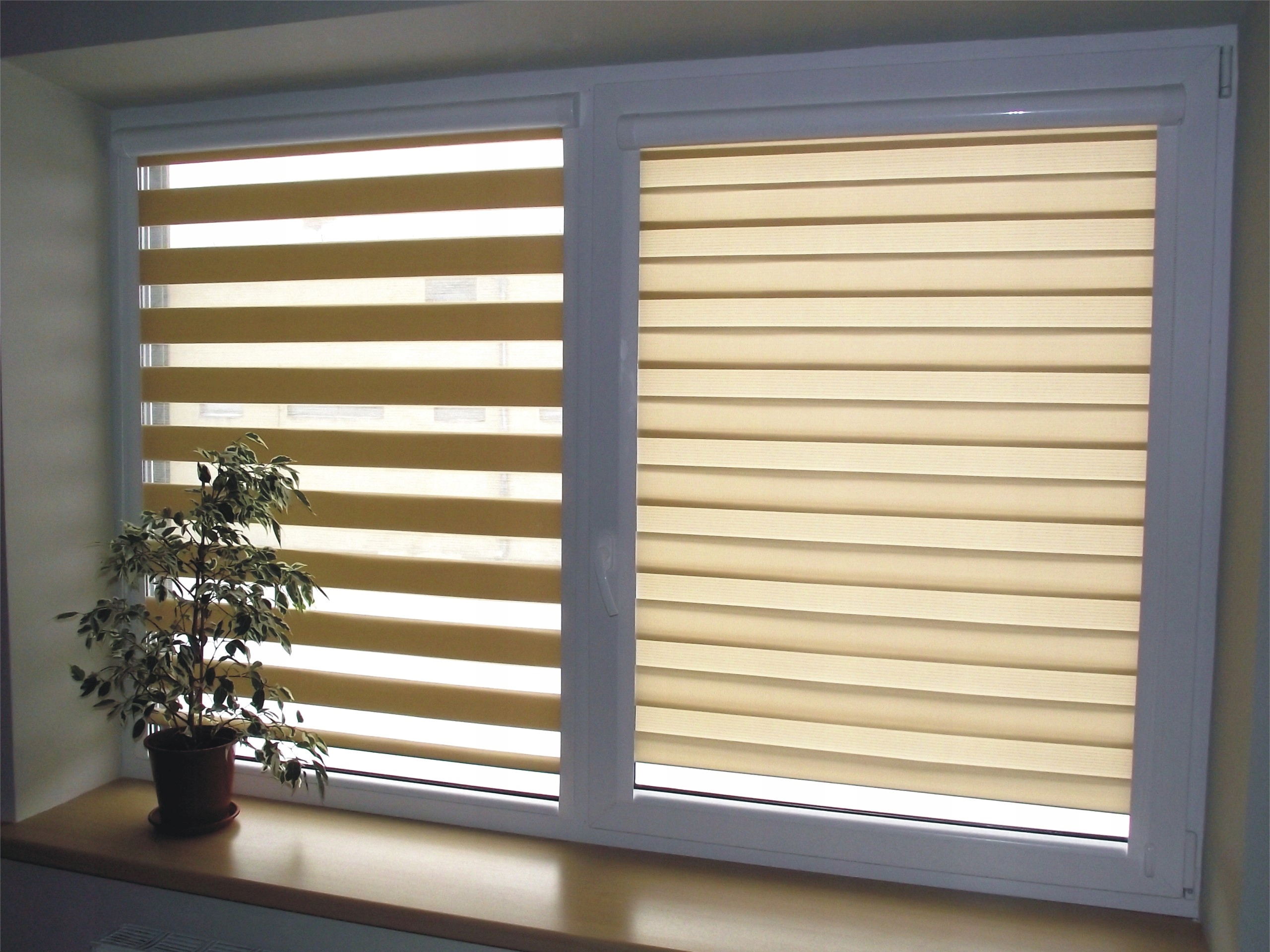 roleta dzień i noc w kasecie żaluzje 73x220 DN Szerokość produktu 73 cm